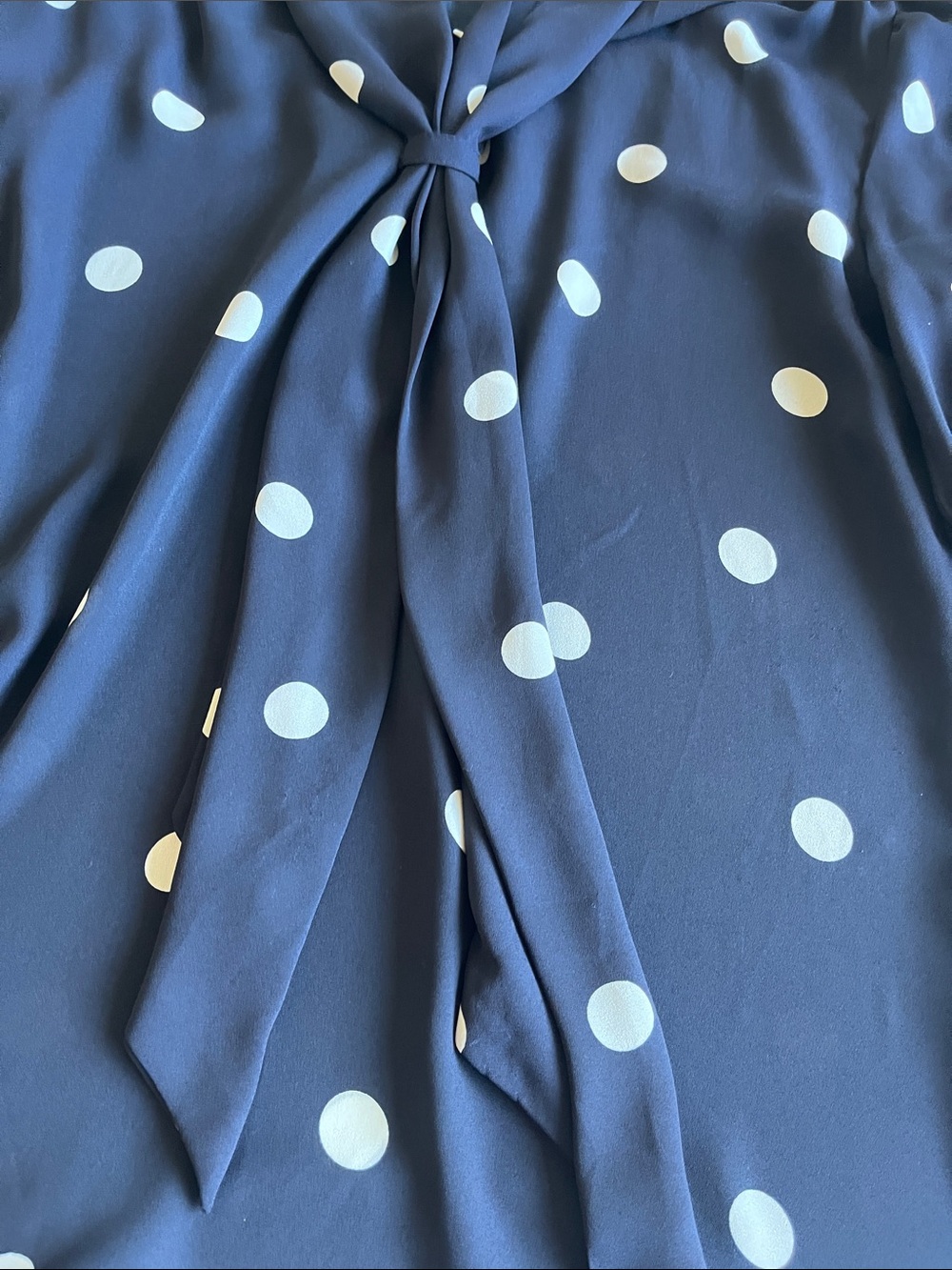 Adrianna Papell Navy and White Polka Dot Tie-Neck Blouse - Picture 5 of 7